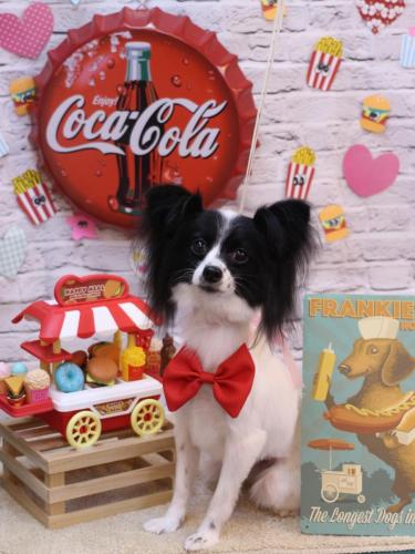 20230908レモンちゃん